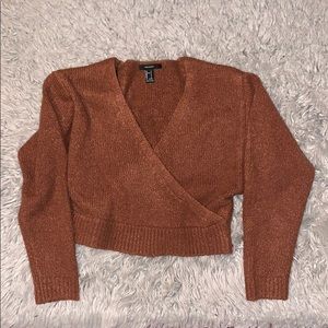 Rust Cozy Knit Cropped Sweater